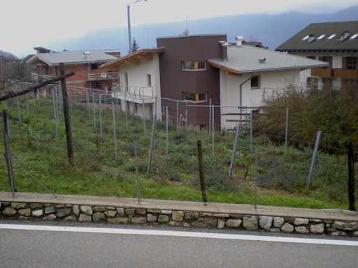 DSCN6724